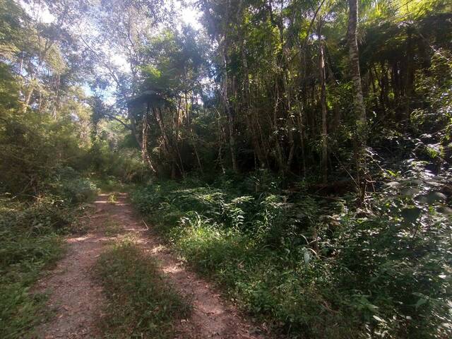 #1030 - Área para Venda em Mairiporã - SP - 1